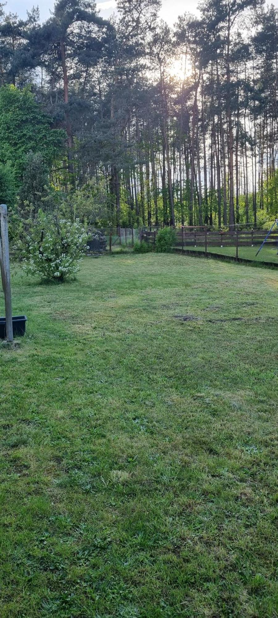 Karls Ferienhaus Grosskoschen Exteriör bild